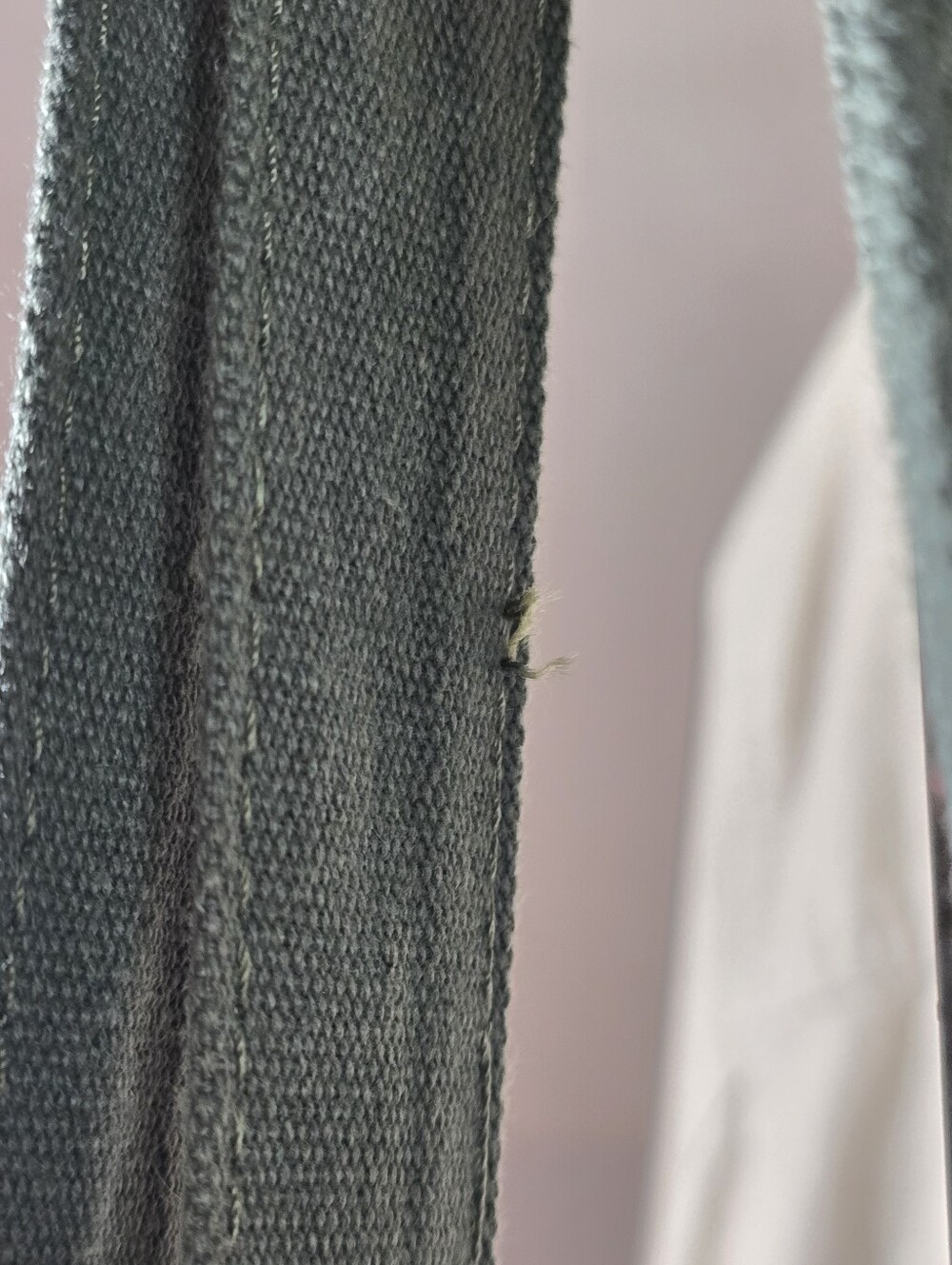 GAP Olive Logo Canvas Tote in Deep Green - Picture 4 of 7
